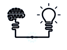 Knowledge Transfer in practice